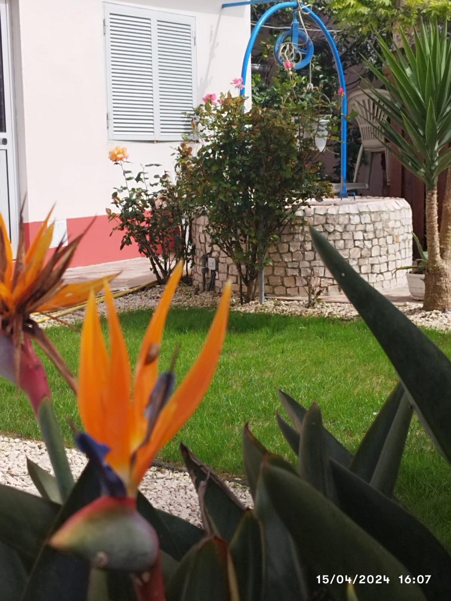 شقة Ranch Lau&Ri Nazare Cela Velha المظهر الخارجي الصورة